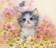 更紗・プロフ読んで下さいね♪の画像