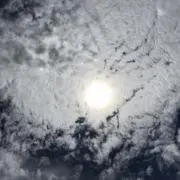 termaeの画像