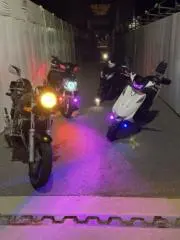はくい
