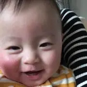 とらのらの画像
