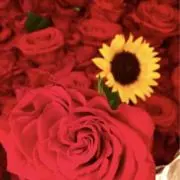 シーズンオフ♡お値下げ！ENFÖLD ノースリーブシャツ 38 ホワイト 