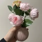 さくらの画像