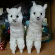 すっちゃん