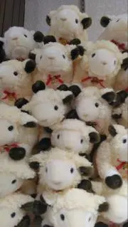 森林限界の画像
