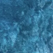 Mの画像