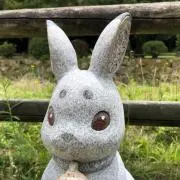 ぴよ