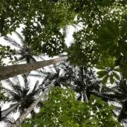ASAHI-♪♪8/8〜16までお休みの画像