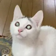 Image of ありママ