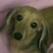 ☆ちくりん☆ワーママ(ぅω=`)