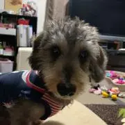RUIママ