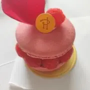 シナスターの画像