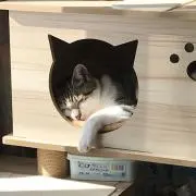 メルアミ