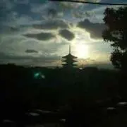 幸四郎の画像