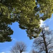 しい【プロフ必読願います】の画像