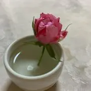 ゆきこ