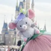 aii（購入代行業者とはお取引不可）の画像