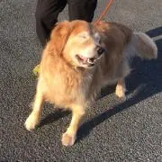 noriの画像