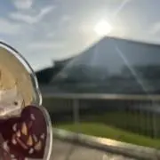 ももの画像