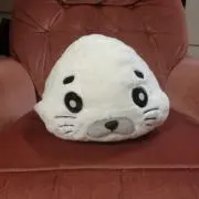 ごまちゃんの画像