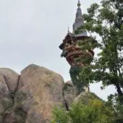 あんの画像
