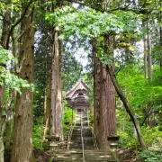 bibiの画像