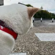 しんちゃん