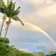 Rainボーの画像