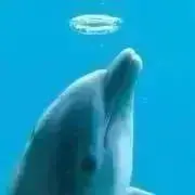 2☆mammyプロフ必読