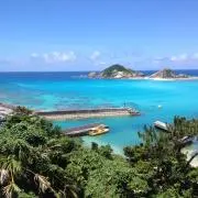 珊瑚の画像