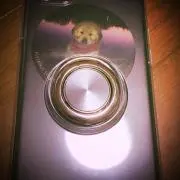 stdnの画像