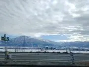 ｋｏｉの画像