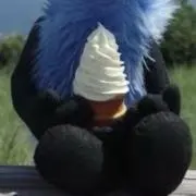 Sasaの画像