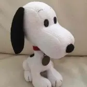 じゅんの画像
