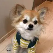 ABBA(※要プロフ)