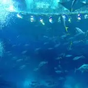 とめとめ