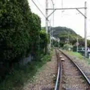 kojiの画像