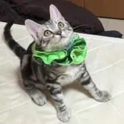 ♡の画像