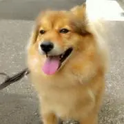 かめちゃ☆
