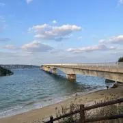てての画像