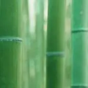 竹の画像