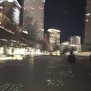 究極カナブンの画像