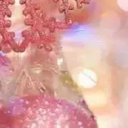 ねねの画像