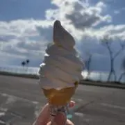 たるの画像