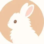NINAの画像
