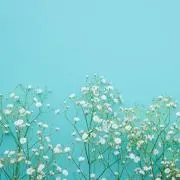 Ran☆ プロフ必読の画像
