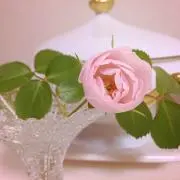 ハッチの画像