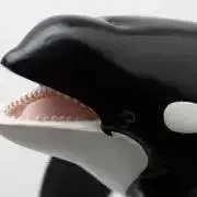 ☺︎shamu☺︎