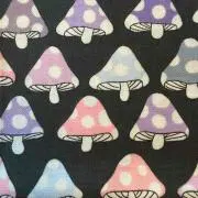 モモンガの画像