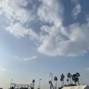 SSDmの画像
