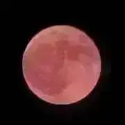 ann プロフ確認お願いしますの画像